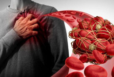 5 Makanan Pemicu Pengentalan Darah pada Perempuan 