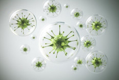 Kasus Superflu di Tanah Air, Ini Penjelasan dari Menteri Kesehatan