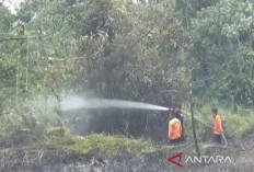 Lima Titik Dipadamkan, Karhutla di Muaro Jambi Meluas