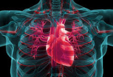 Jantung Bahagia  saat Rutin Rutin Minum Air Putih Setiap Pagi