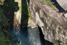 Limbah Diprotes Warga, SPPG Simpang 3 Sipin Sebut hanya Air Bekas Cuci Tangan : Kami Sudah Buat Sumur Resapan