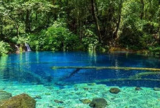 Menelisik Pesona dan Misteri Danau Kaco, Permata Bening di Jantung Kerinci