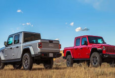 Jeep Gladiator Rubicon DC, Tunjukkan Ketangguhan Dirancang untuk Medan Berat