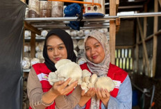 Elnusa Petrofin Gelar Petrofin Peduli CSR Award 2025, Komitmen Unit Operasi Wujudkan Dampak Berkelanjutan