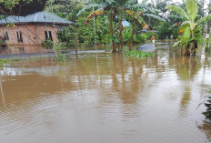 Dikepung Banjir dari Laut dan Sungai! Tanjab Timur Lumpuh Usai Diguyur Hujan Puluhan Jam