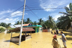 Banjir Bandang Terjang Sarolangun, Gubernur Al Haris Soroti Cuaca Ekstrem hingga Dugaan PETI 