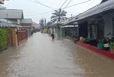 Banjir di Kota Jambi! WALHI Sebut Akibat Pembangunan Abai Lingkungan