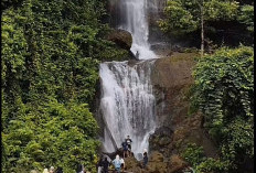 Rekomendasi Long Weekend Mei: Air Terjun Renah Sungai Besar di Bungo, Surga Tersembunyi Hidden Gem