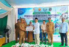 SKK Migas PetroChina Serahkan 8 Sapi ke Poktan Sidomulyo Tebing Tinggi, Ini Tujuannya