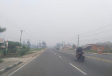 Kabut Asap Makin Pekat, Dikbud Tebo Belum Keluarkan Imbauan Belajar Daring