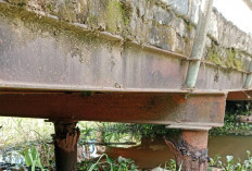  Waduh..! Jembatan Penghubung di Tanjab Timur Amblas, Warga Terpaksa Pilih Jalur Alternatif 