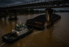 Kacau Nih! Tongkang Batu Bara Tabrak Fender Jembatan Muara Sabak, Tiga Tiang Hilang