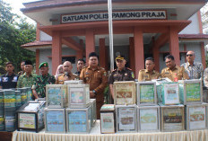 Mengejutkan! 103 dari 302 Kotak Amal di Bungo Terindikasi Radikalisme, Bupati Turun Tangan Langsung