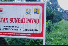 Jembatan Sei Payau SKK Migas-PetroChina, Bukti Sinergi dan Dukungan Insfrastruktur di Kabupaten Muaro Jambi