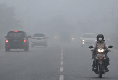 Saat Kabut Menutupi Jalan, 7 Langkah Ini Bantu Pengendara Tetap Cari Aman
