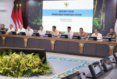 Menteri Nusron: Pemerintah Kuasai Kembali Jutaan Hektare Kawasan Hutan dari Praktik Penyalahgunaan