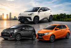 BYD Atto 1 Kini Mulai Rp199 Juta Mobil Listrik Ini Harganya Setara LCGC, tapi Lebih Canggih