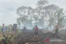 Cegah Kebakaran Meluas di Tanjab Timur, Satgas Karhutla Terapkan Pola Penyekatan