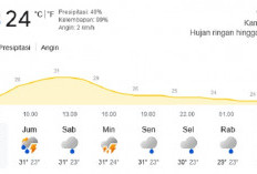 Kamis Ini Cuaca Jambi Didominasi Hujan Ringan, Waspada Akhir Pekan Potensi Badai Petir Meningkat