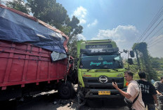 Tiga Truk Tabrakan di Tanjakan Jalintim Muaro Jambi, Arus Lalu Lintas Terganggu