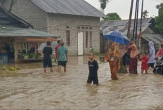552 Rumah Terdampak Banjir di Balaesang dan Sirenja  Sulteng