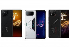 Bukan Kaleng-Kaleng, Top 3 ASUS ROG Phone Paling Laris di Kalangan Gamer