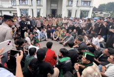 Ultimatum 3 x 24 Jam untuk Pemprov dan DPRD Jambi soal Karhutla, Ini yang Dijanjikan Hafiz Fattah