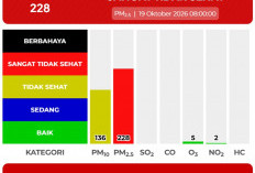 ISPU Muaro Jambi Tembus 228, Kualitas Udara Masuk Kategori Sangat Tidak Sehat
