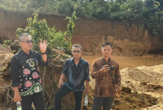 Waduh! Aset Pemkab Merangin Digarap PETI, 1,5 Hektare Lahan Rusak