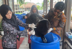 LPPM UNJA Wujudkan Kampus Berdampak, Serahkan 10 Unit Alat Filtrasi ke Pengrajin Batik Jambi