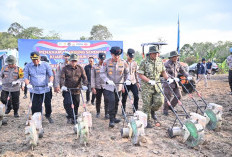 Tanam Jagung 1 Juta Hektare! Kapolri Pimpin Gerakan Nasional, Polda Jambi Turun Langsung ke Lahan