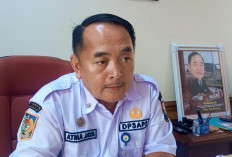 Kasus Dugaan TPPO Bayi di Batang Hari Jadi Bahan Evaluasi DP3AP2 Provinsi Jambi