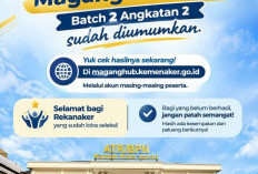 Pengumuman Seleksi Magang Nasional Batch 2 Angkatan 2 Resmi Dirilis Kemnaker