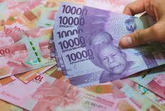 Resmi Cair Mulai Hari Ini! Gaji ke-13 ASN dan Pensiunan Dibayarkan, Cek Siapa Saja yang Berhak Menerima