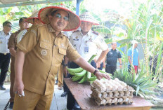 Bupati Anwar Sadat Serahkan Bantuan Bedah Rumah dan Hadiri Panen Raya di Bram Itam