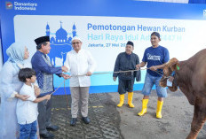 Semangat Berbagi saat Idul Adha, BRI Group Distribusikan lebih dari 5000 Hewan Kurban di Indonesia