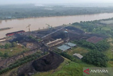 BP Kebudayaan Usut Izin Perusahaan yang Beroperasi di Sekitar KCBN Murojambi 