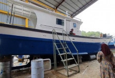  Rp 1,8 Milir untuk Bantuan Kapal 10 GT untuk Nelayan, Pemkab Tanjabtim Perkuat Sektor Perikanan 