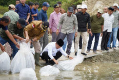 Safari Ramadan di Kerinci, Gubernur Al Haris Tebar 10 Ribu Benih Ikan dan Cek Lokasi Sekolah Rakyat