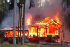 DETIK-DETIK LEBARAN BERUBAH JADI PETAKA! Rumah Warga Tanjab Timur Ludes Dilalap Api Saat Ditinggal Silaturahmi