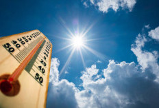 Jambi Sambut HUT RI ke-81 dengan Cuaca Cerah Berawan, Suhu Capai 32°C