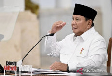 Prabowo: 250 BUMN Ditutup Hingga 31 Juli, Penghematan Capai Rp50 T