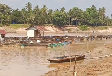 Kemarau Panjang, Debit Sungai Batanghari Terancam Terus Menyusut, BPBD Minta Masyarakat Bijak Gunakan Air