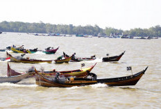 Meriah! Peringati HUT RI ke-81 dan Hari Jadi Tanjab Barat ke-61, Presisi Merdeka Balap Pompong Sukses Digelar