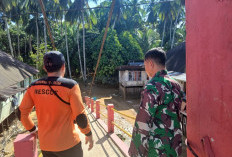 Banjir Terjang Merangin-Sarolangun, 60 Rumah Terendam! TNI Turun Tangan, Evakuasi Warga Berlangsung Dramatis