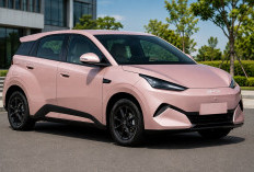 BYD Great Seagull segera Hadir! Bodi Lebih Besar dari Atto 1 Dibekali Teknologi Canggih DiPilot dan NOA