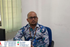 17.261 Titik Panas Terpantau di Jambi Sepanjang 2026