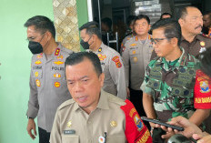 Asap Tebal di Jambi, Ternyata Kiriman dari Taman Nasional Sembilang Sumsel