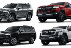 Bukan Cuma Tangguh, Toyota Land Cruiser Punya 4 Pilihan Warna Gagah dan Harga Tipe Lengkap