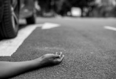 Duh! Pengendara Motor Tewas Ditabrak Innova di Batang Hari, Pengemudi yang Sempat Kabur Ternyata Oknum Polisi